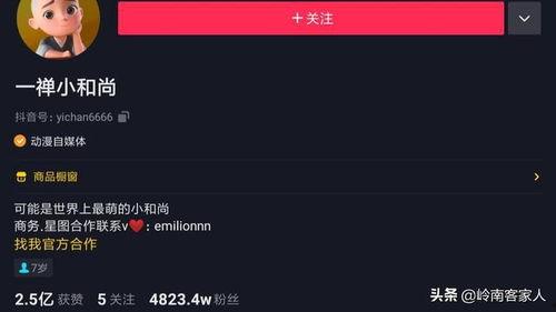 抖音网红爆料网站大全 明星排名大全,明星排名背后的秘密